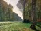 Le Pave de Chailly Poster Print by Claude Monet - Item # VARPDX3CM035